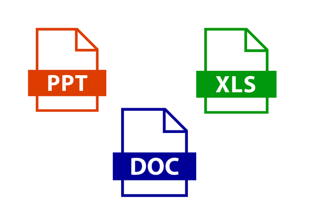 Word PowerPoint Excel Course by SIIMT